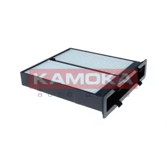 Filtre, air de l'habitacle KAMOKA F425301