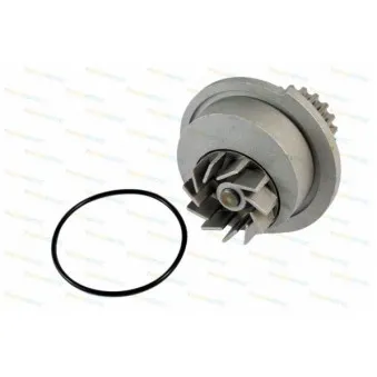 Pompe à eau THERMOTEC D10007TT
