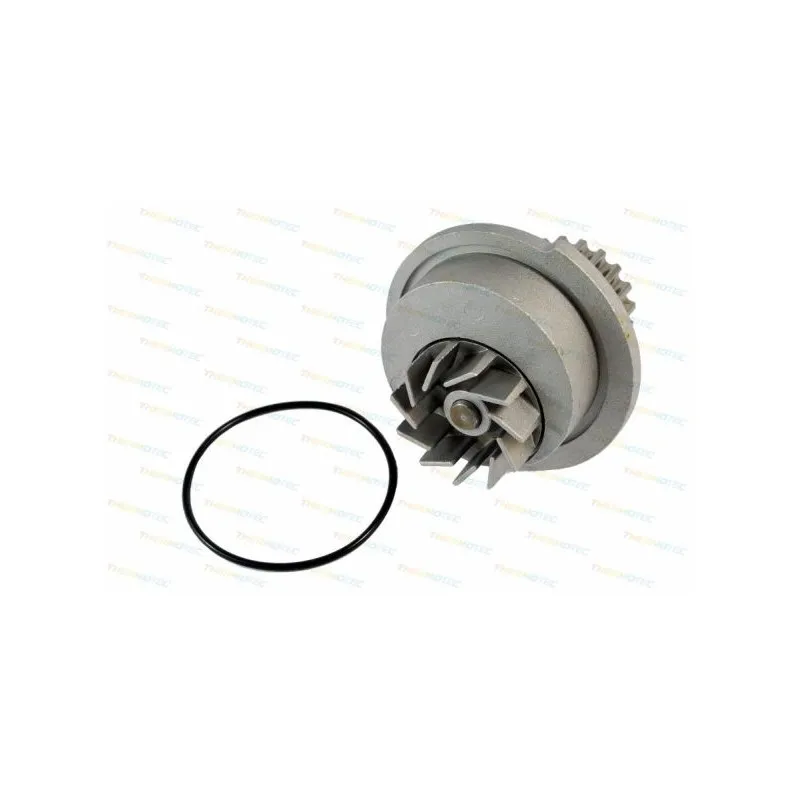 Pompe à eau THERMOTEC D10007TT