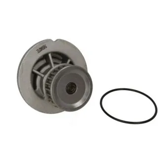 Pompe à eau THERMOTEC