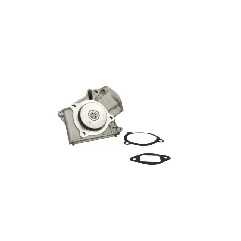 Pompe à eau THERMOTEC D10316TT