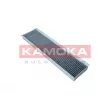 Filtre, air de l'habitacle KAMOKA F520101 - Visuel 1