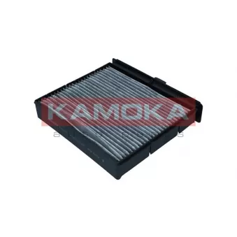 Filtre, air de l'habitacle KAMOKA F520201