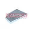 Filtre, air de l'habitacle KAMOKA F520701 - Visuel 1