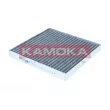 Filtre, air de l'habitacle KAMOKA F525101 - Visuel 1