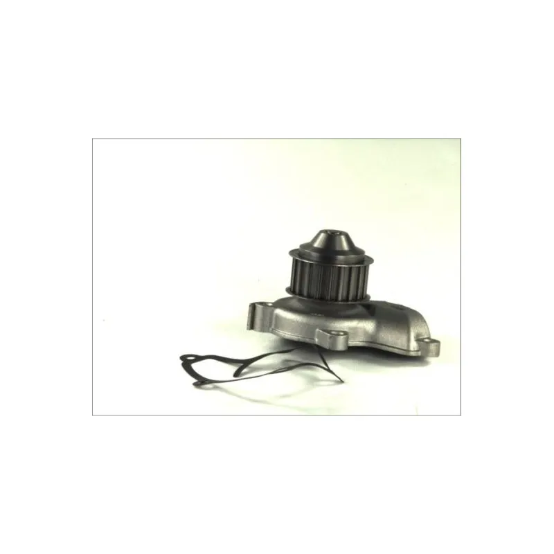 Pompe à eau THERMOTEC D11028TT