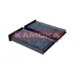 Filtre, air de l'habitacle KAMOKA F525701 - Visuel 1