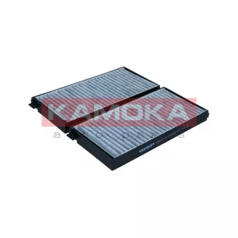 Filtre, air de l'habitacle KAMOKA F525901