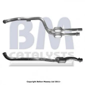 Catalyseur BM CATALYSTS BM80217H