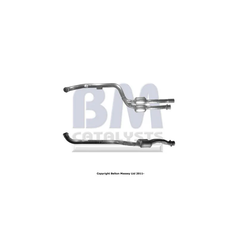 Catalyseur BM CATALYSTS BM80217H