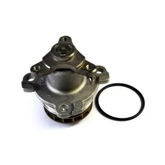 Pompe à eau THERMOTEC D11081TT