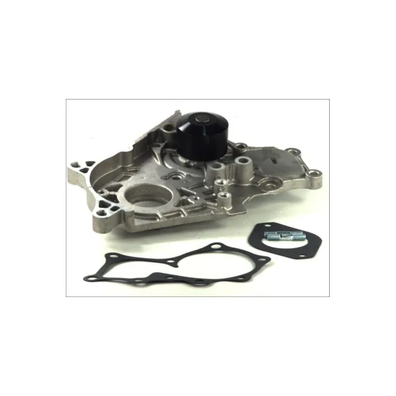 Pompe à eau THERMOTEC D12006TT