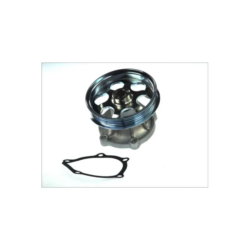 Pompe à eau THERMOTEC D12071TT