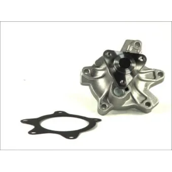 Pompe à eau THERMOTEC D12072TT