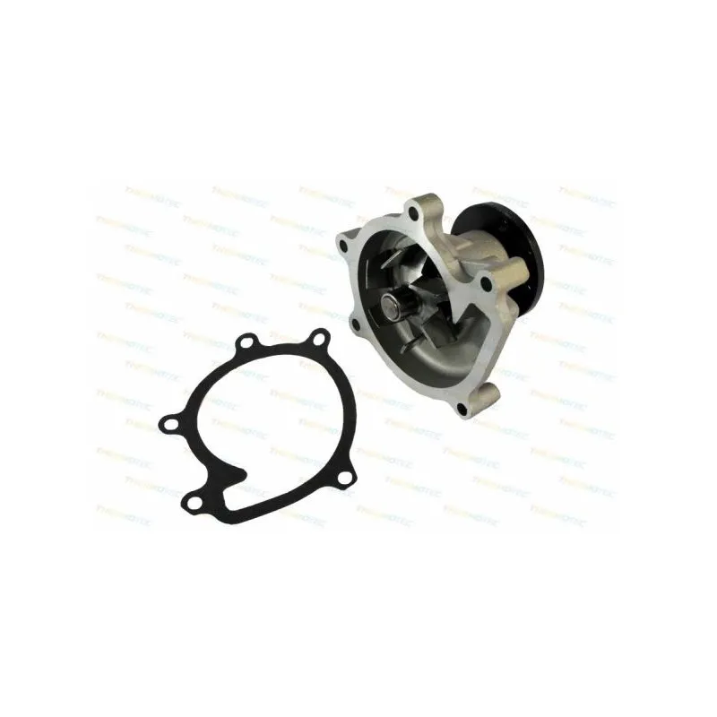 Pompe à eau THERMOTEC D12074TT