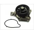 Pompe à eau THERMOTEC D13041TT - Visuel 2