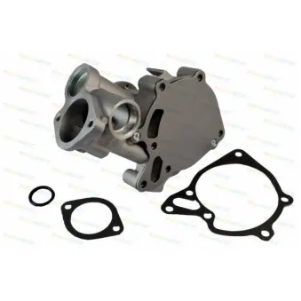Pompe à eau THERMOTEC D15006TT