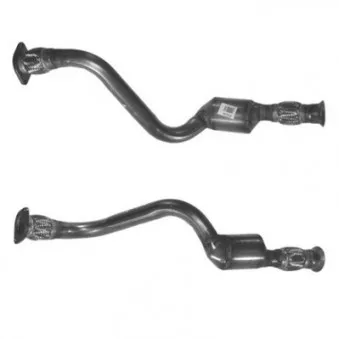 Catalyseur BM CATALYSTS BM80234H