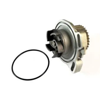 Pompe à eau THERMOTEC D1A010TT