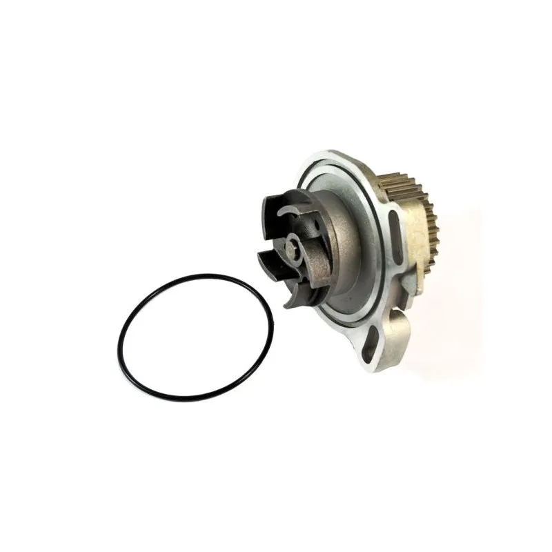 Pompe à eau THERMOTEC D1A010TT