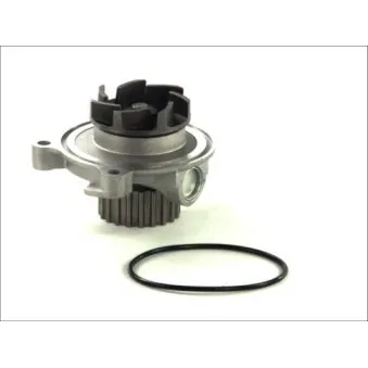 Pompe à eau THERMOTEC D1A027TT