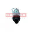 Valve de commande, réglage d'arbres à came KAMOKA RA009 - Visuel 1