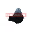 Valve de commande, réglage d'arbres à came KAMOKA RA025 - Visuel 2
