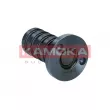 Valve de commande, réglage d'arbres à came KAMOKA RA026 - Visuel 1