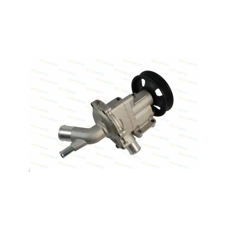 Pompe à eau THERMOTEC D1B029TT