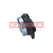 Valve de commande, réglage d'arbres à came KAMOKA RA071 - Visuel 1
