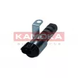 Valve de commande, réglage d'arbres à came KAMOKA RA087 - Visuel 1