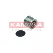 Poulie roue libre, alternateur KAMOKA RC045 - Visuel 2
