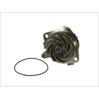 Pompe à eau THERMOTEC D1D018TT