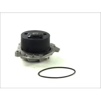 Pompe à eau THERMOTEC D1D019TT