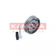 Dispositif de réglage électrique d'arbre à cames KAMOKA RV004 - Visuel 3