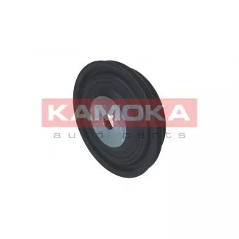 Poulie, vilebrequin KAMOKA RW056