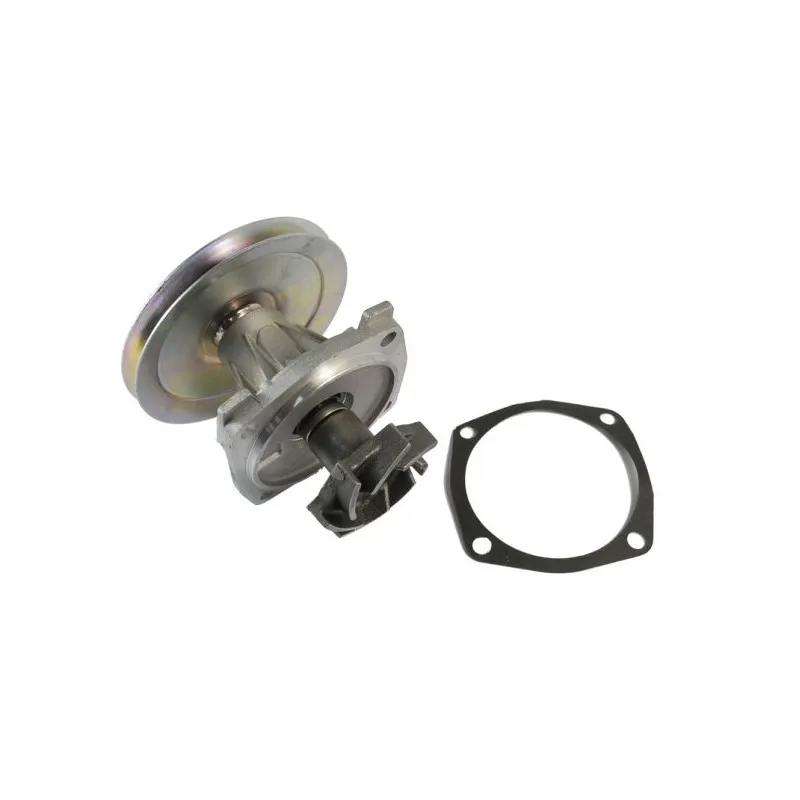 Pompe à eau THERMOTEC D1F050TT