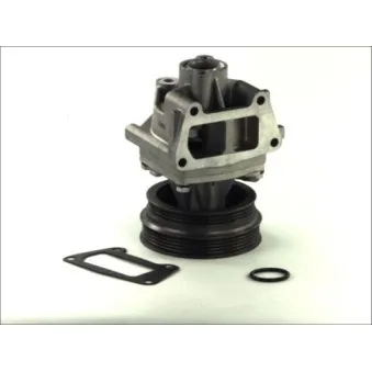 Pompe à eau THERMOTEC D1F054TT