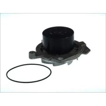 Pompe à eau THERMOTEC D1F055TT
