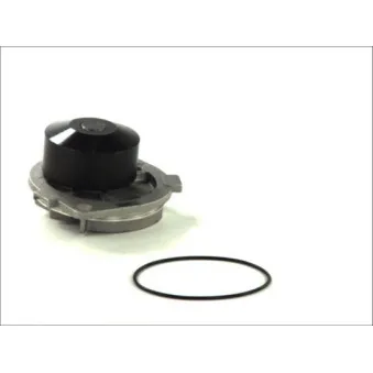 Pompe à eau THERMOTEC
