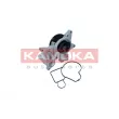 Pompe à eau, refroidissement du moteur KAMOKA T0298 - Visuel 1