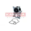 Pompe à eau, refroidissement du moteur KAMOKA T0300 - Visuel 2