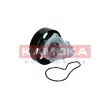 Pompe à eau, refroidissement du moteur KAMOKA T0304 - Visuel 1
