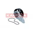 Pompe à eau, refroidissement du moteur KAMOKA T0304 - Visuel 2