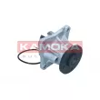 Pompe à eau, refroidissement du moteur KAMOKA T0309 - Visuel 3