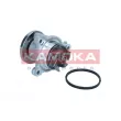 Pompe à eau, refroidissement du moteur KAMOKA T0310 - Visuel 1
