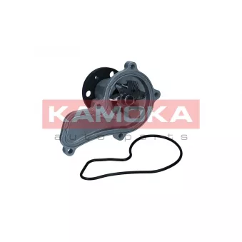 Pompe à eau, refroidissement du moteur KAMOKA T0314