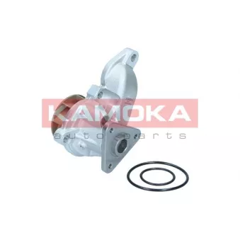 Pompe à eau, refroidissement du moteur KAMOKA T0315