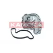 Pompe à eau, refroidissement du moteur KAMOKA T0321 - Visuel 2