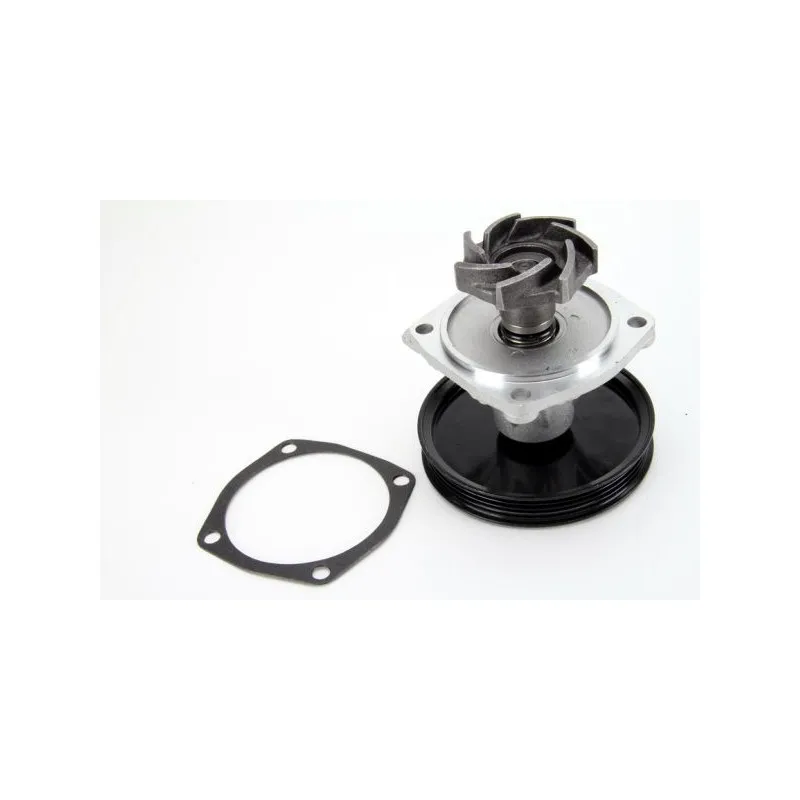 Pompe à eau THERMOTEC D1H015TT